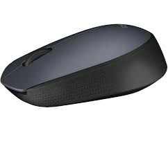Logitech-M170