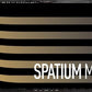 MSI SPATIUM M480 PRO 1TB