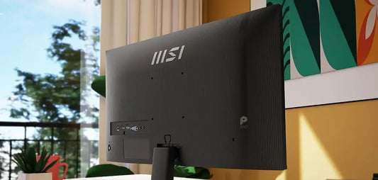 MSI PRO MP251 E2 24.5